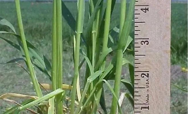 С�����ν�����ô�жϣ�С��ν���զ������