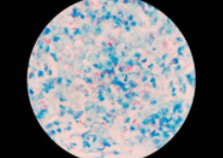 90%���ʶ�������̫������