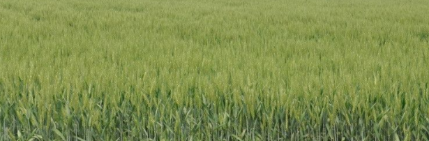 С����������ڣ��������²�����һ���±�����������ȷ���߲�