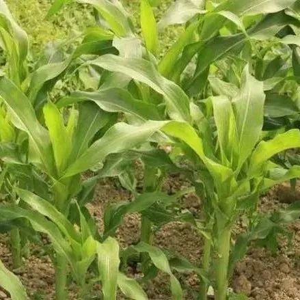 �������飺���ʽ����ֵص���ѡ���ϣ�