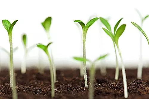 ��������о����Ƽ�����