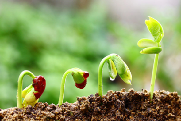 �����з��࣬ʩ��Ҫ��ͬ��