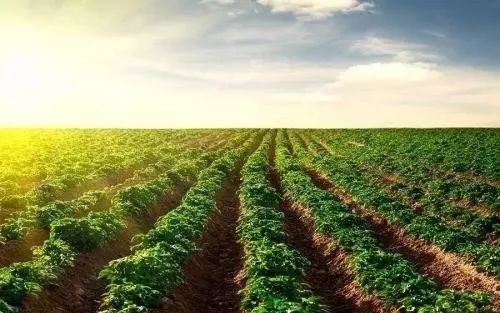 �����ķ��϶�������ʲô�ô���