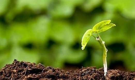 ���ѡ���׵ľ��ʳ��ң�