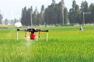 �������ũҩ�⼸��Ҫע�⣬����ȫ