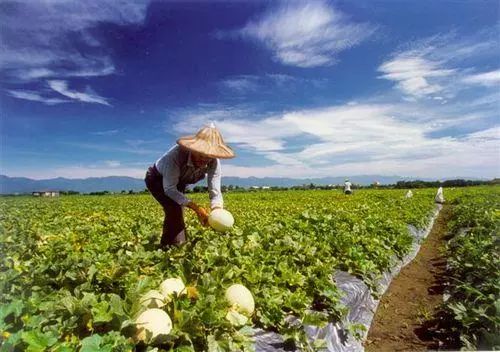 ����ʩ��΢������ʲ��ܴﵽ���Ч����