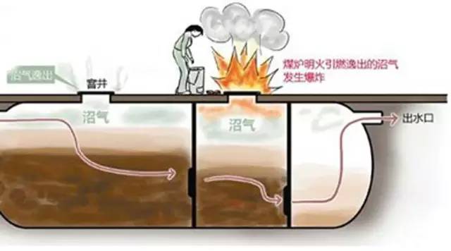 ������ã���Ƣ������С����Щ���������İ�ȫС��ʶ�㶼֪����