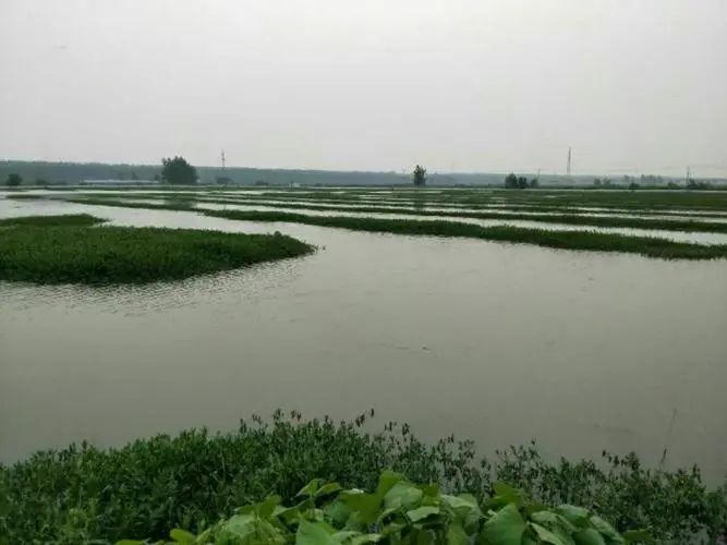 ��Ϻ��ֳ��ι���ˮ�ʣ�