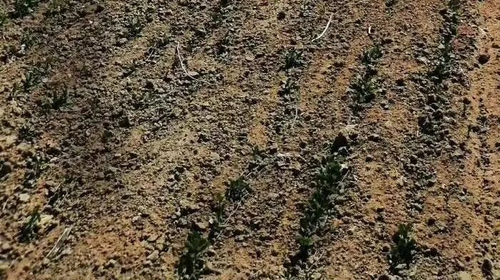 �����ữ���λ���ô�жϣ��������𰸣�����һ��Ǯ��