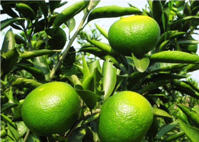 ���²����ڹ�ʵ��ɫ����ô������������תɫ�����������У�