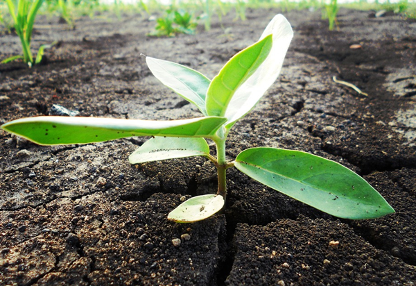 64��΢�������֪ʶ���ؿ���