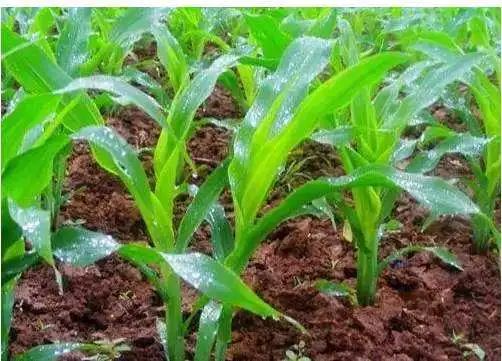 �������硢��������磬ɶԭ�򣿽��������Ϸ���4��4������