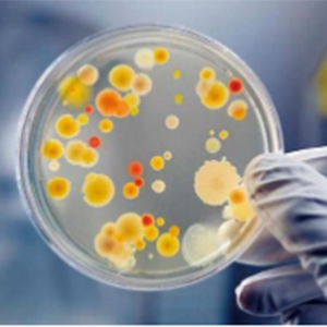 ������θ������Ʊ���