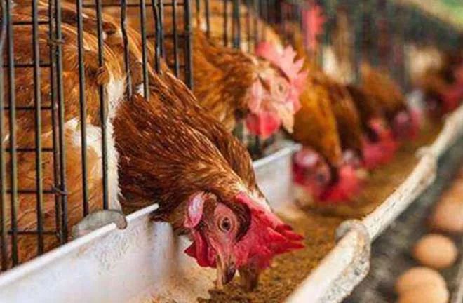 �ļ���Ⱥ���ϵĸ�Դ���Ķ����������