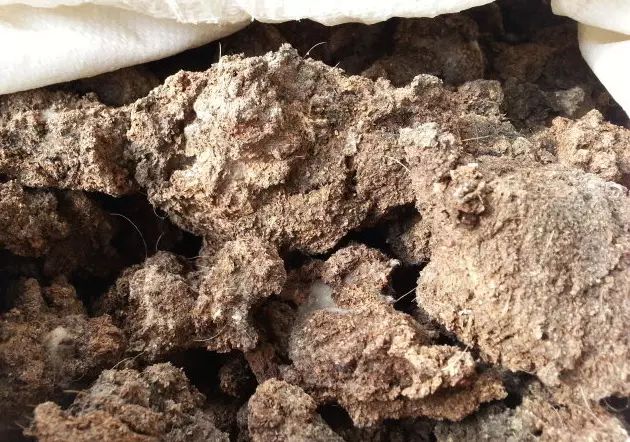 ���ࡢѼ�ࡢţ�ࡢ���ࡢ���.�����ĸ��ã�