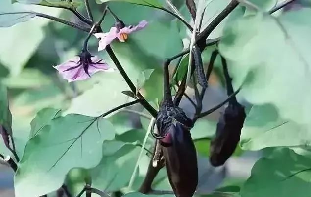 ��ù��ʹ�÷����ܽᣡ