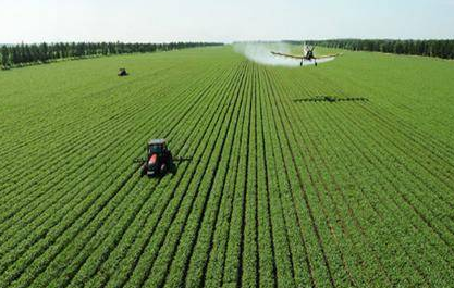 Ҷ��ʩ�ʡ�����������ر��ǵڶ��������Բ飡