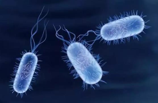 ��΢������ϡ��͡�΢�������