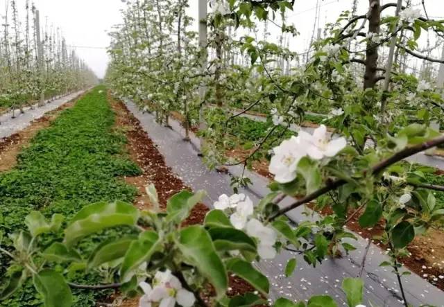 ���������Ӧ��ʩʲô�ʣ���������������