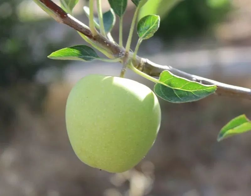 ��ũ�ؿ����Ÿ��������������ȫ������