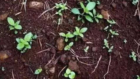 �����л��ʣ����ʾͱ����ˣ�