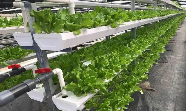 ΢���＼����ũҵ��̬�����������𵽵�����