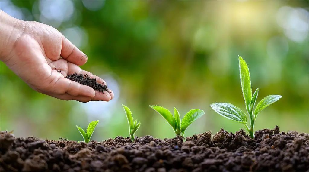 ΢������Ϻͻ��ʶ�������Ӧ���к�����