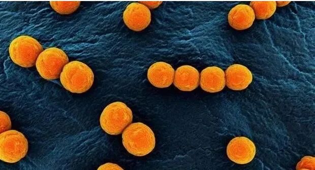 �೦�������������