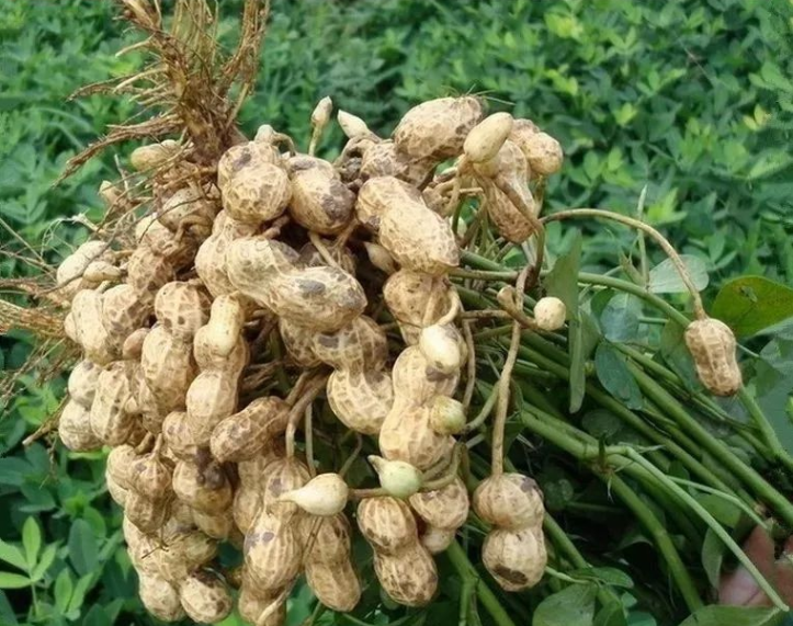 �������������ܣ���������������