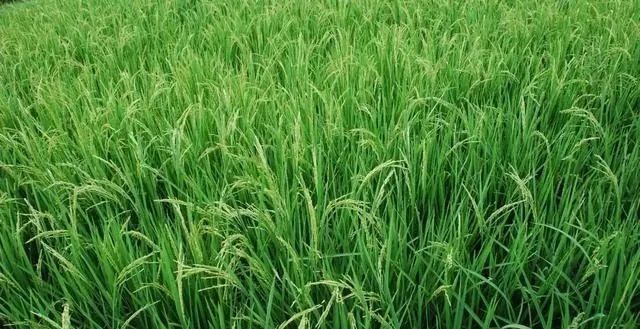 ����������ˣ�Ҫ��������ʩ��