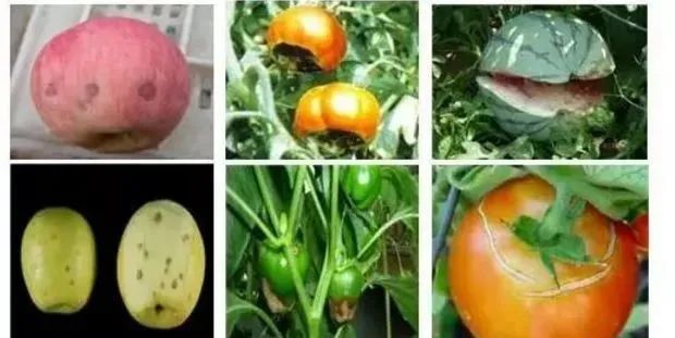 ȱ������ڵ㡢�ѹ���Ʒ�ʲ�