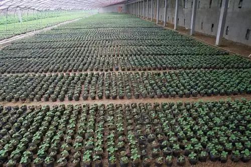 ΢����������ʹ��������Ч���˷ѣ�