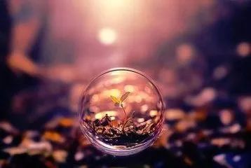 ΢������ϣ��й�ũҵ�ľ��ǣ�