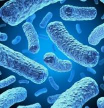 ���ϸ���ĺô���֪����