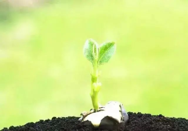 ��ʵ����ж���Ҫ������������Ӧ��������Ч��