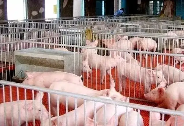 �＾���������⼸�㣬������������������׬Ǯ��