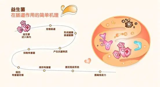 ����Ⱥ������ô���£�����ô�죿