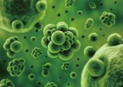 ѿ�����ѿ�����������