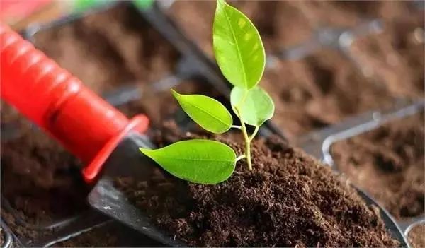 ����ϸ���Բ������ܣ�