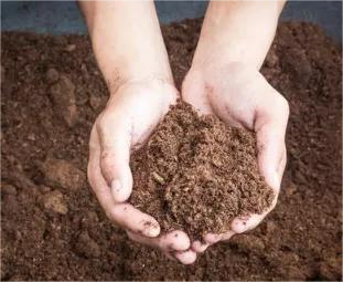 ����������Ȼ���о�����˴������