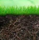 ������ʵ�ʮ����ʶ������μǣ�