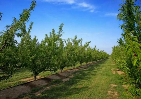 ������ʩ�л��ʵ����ʱ����֪����