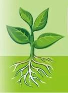 ΢���﷢�Ͷ��ɳ��þ���