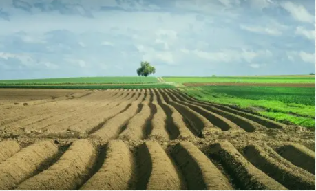 �����������������Ĳ�ͬ�׶�