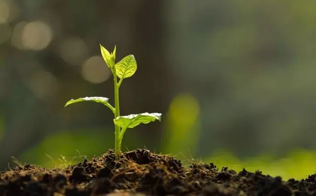 ��ȫ���ͣ������ᡢ��ֳ�ᡢ�����ᡢ΢����ʡ��Ǿ���