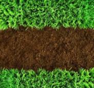 ����������˴�ȫ��