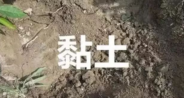 з࣬ʩʸͬ