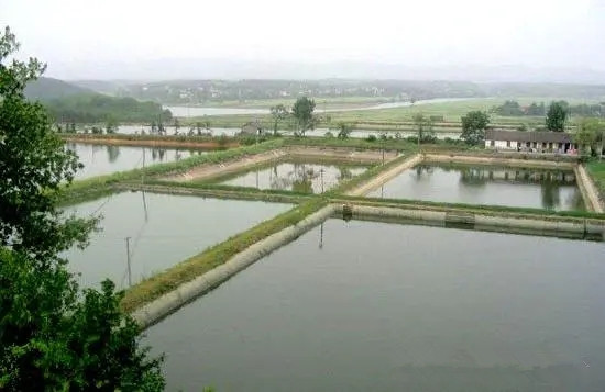ʼ仯ͶˮֳӰ