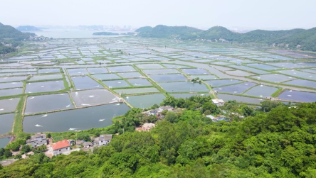 Ѵں͸ɺڼˮֳָּּ2024棩
