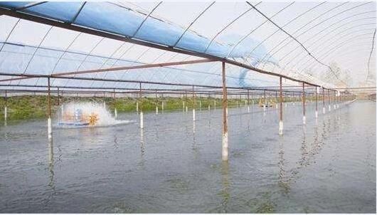 ˮ�ʸ�������ˮ����̬���ʸ�����ʲô��